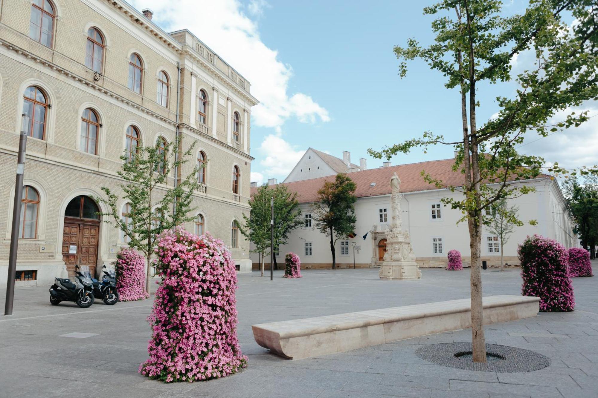 Contessa Apartment Cluj Napoca Eksteriør billede