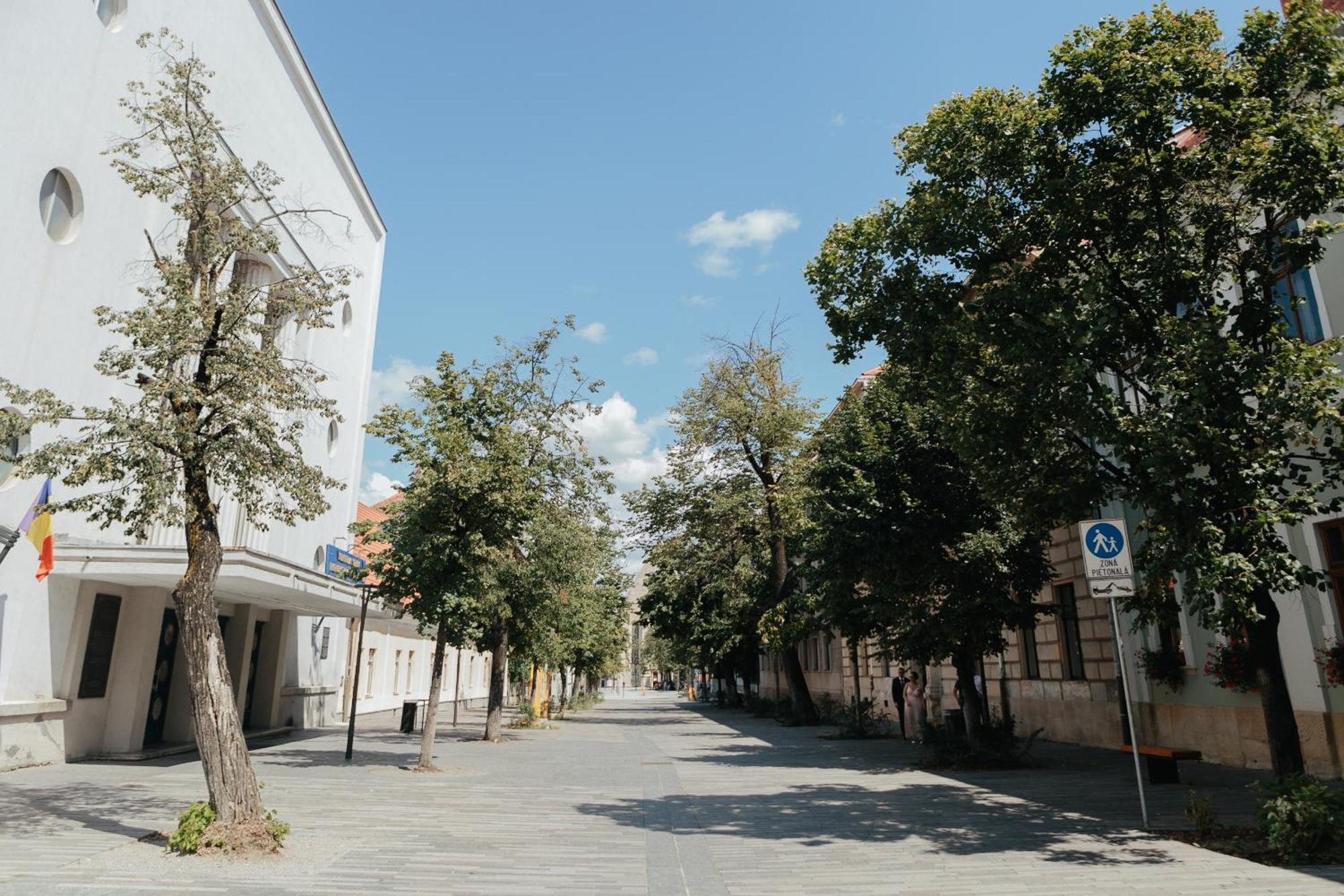 Contessa Apartment Cluj Napoca Eksteriør billede
