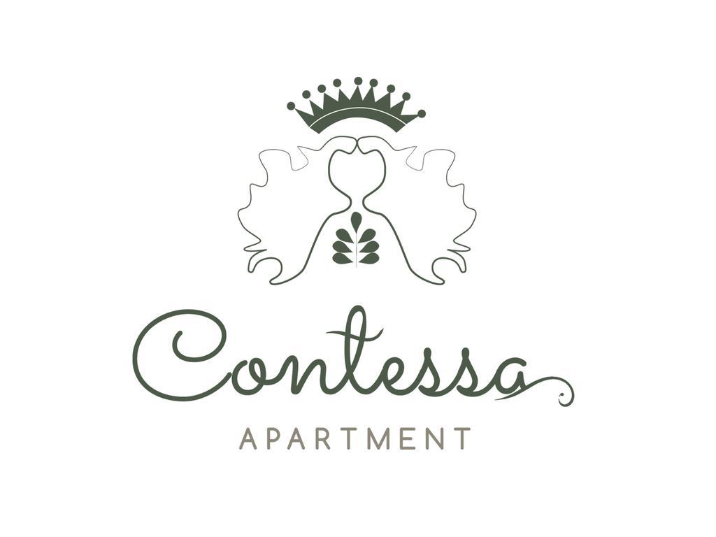 Contessa Apartment Cluj Napoca Eksteriør billede