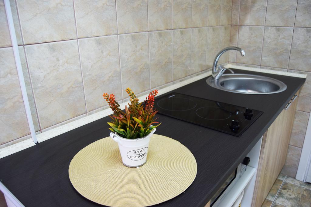 Contessa Apartment Cluj Napoca Eksteriør billede